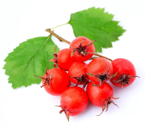 Hawthorn Tonerine